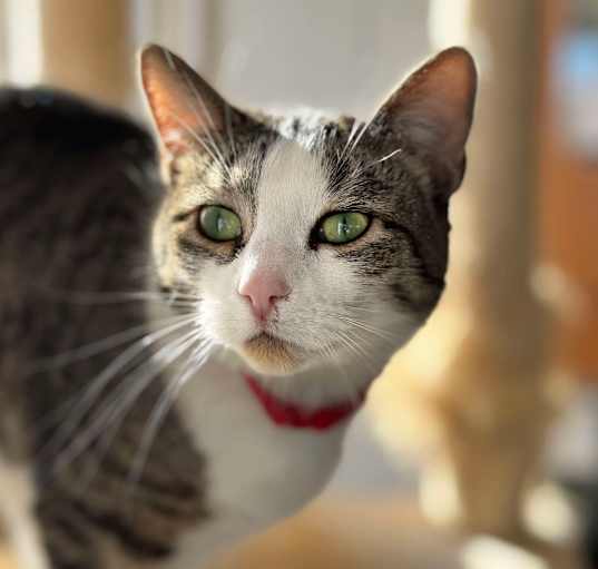 Photo of Rosie FKA Hubita