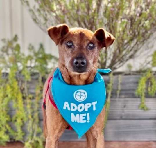 Photo of Rudolf (aka Rudy)