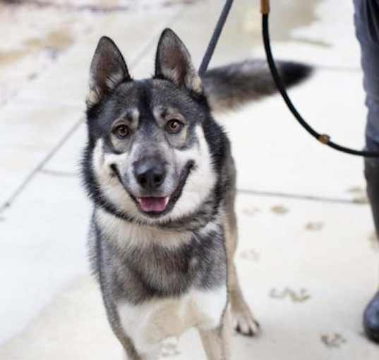 Photo of Holden