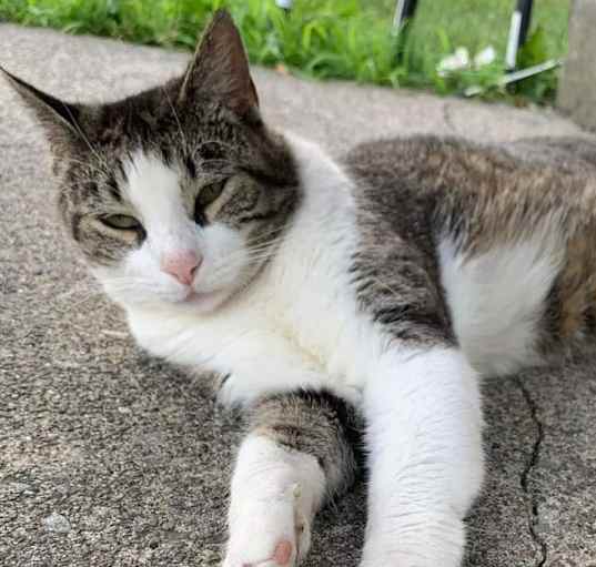 Photo of Juanita