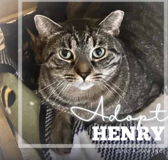Photo of Henry