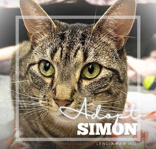 Photo of Simon