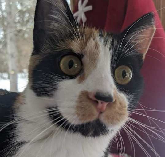 Photo of Ruthie