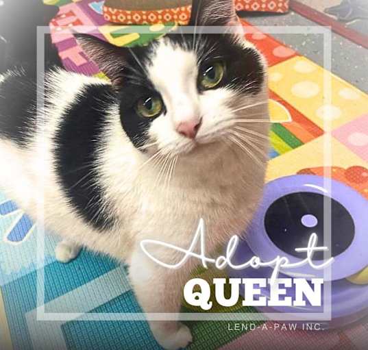 Photo of Queen