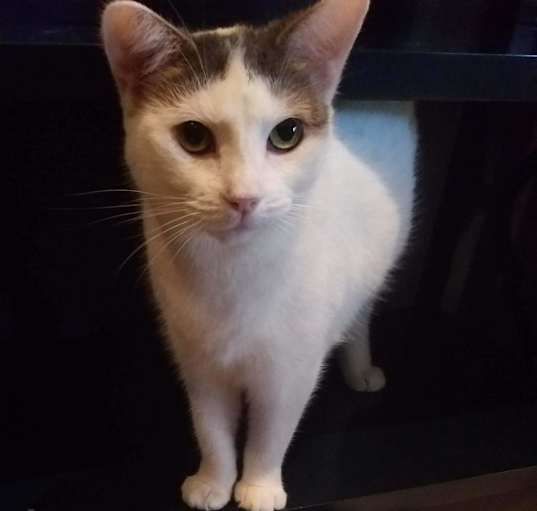 Photo of Heidi