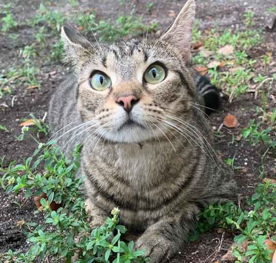 Photo of Betty
