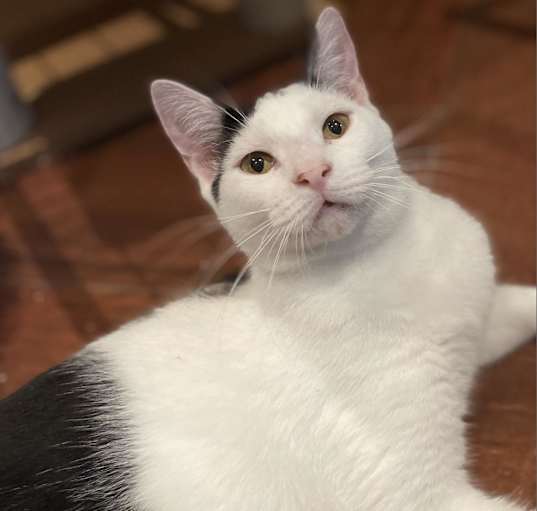 Photo of Benny