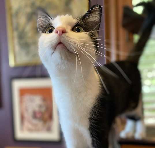 Photo of Kiki
