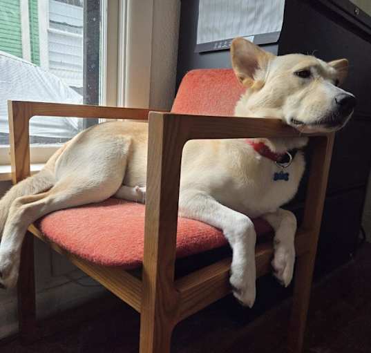 Photo of Hazy