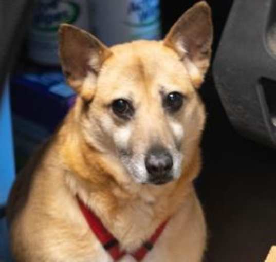Photo of Jacey (I Have a Secret Crush!)