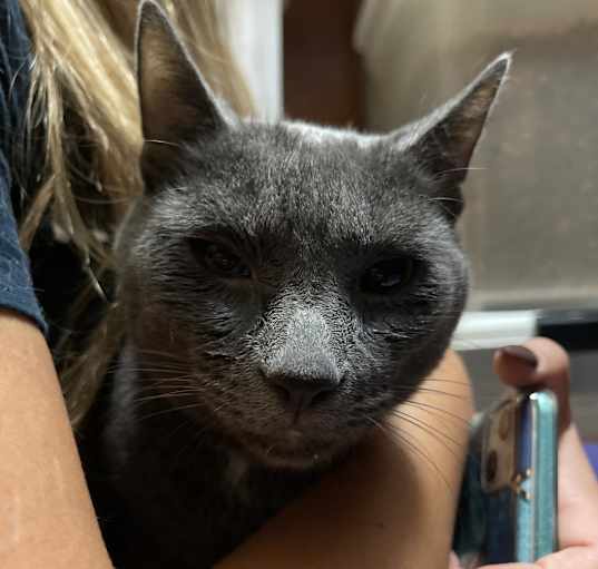 Photo of Spy