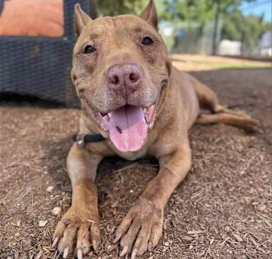 Photo of Cooper