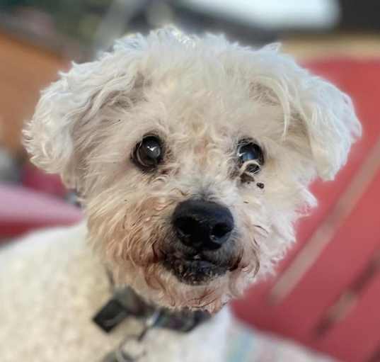 Photo of Max Mailman