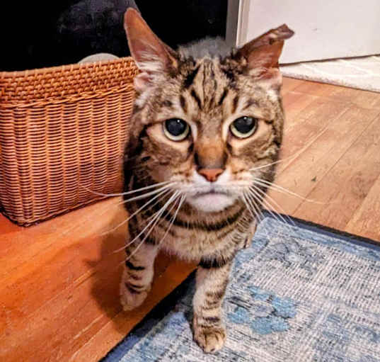 Photo of Kiki