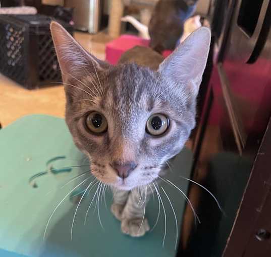 Photo of Happy