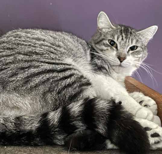 Photo of Silvie