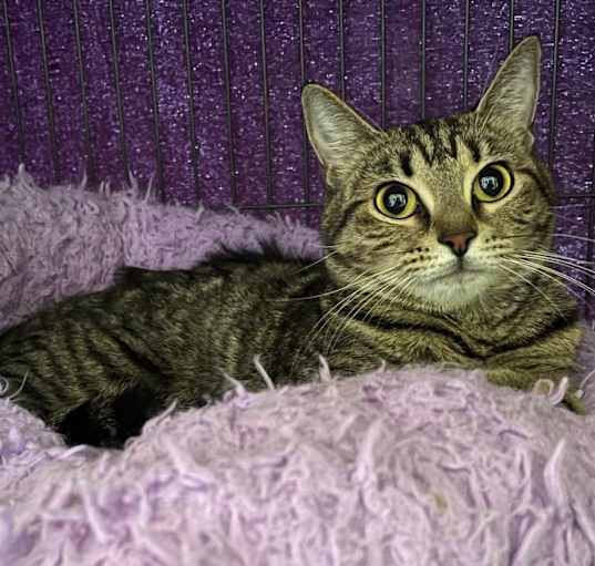 Photo of Leena