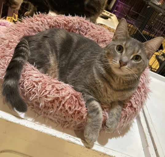 Photo of Lotto