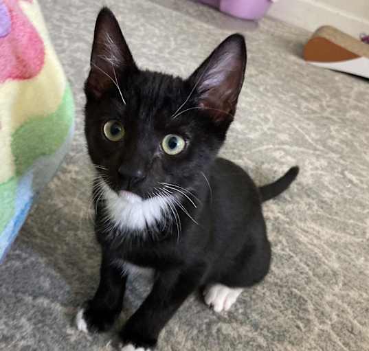 Photo of Ernie