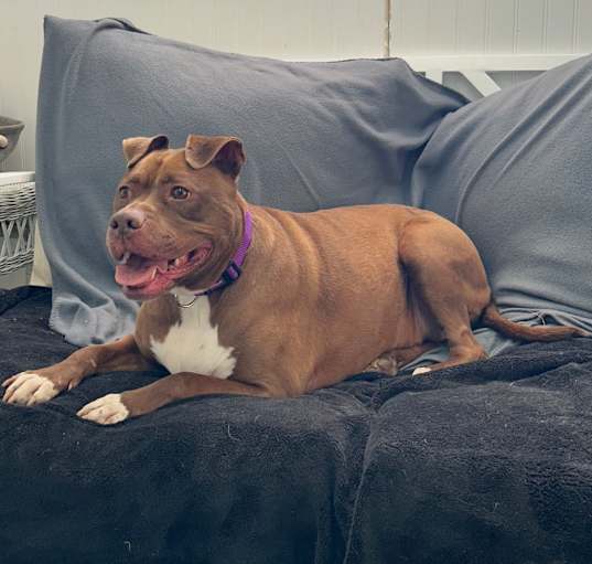Photo of Betty