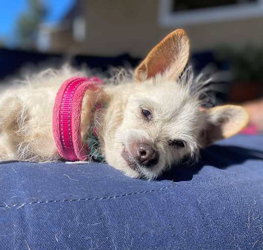 Photo of Wilma Louise