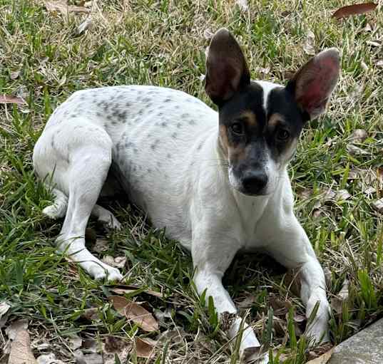 Photo of Tina