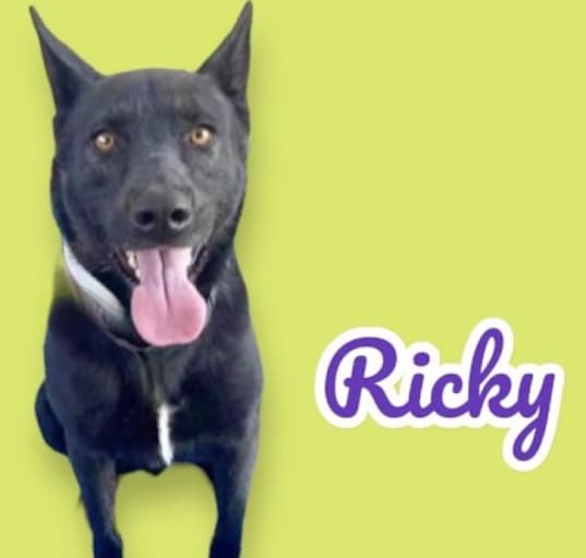 Photo of Ricky