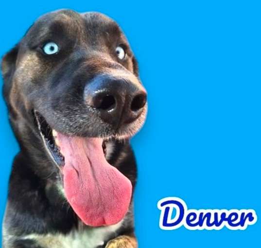 Photo of Denver