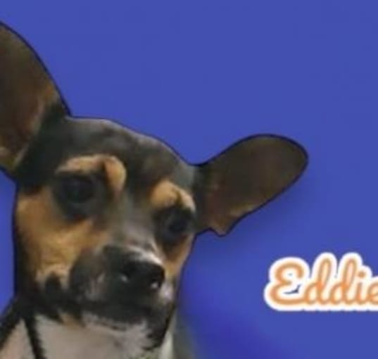 Photo of Eddie