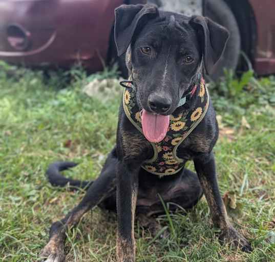 Photo of Agnes
