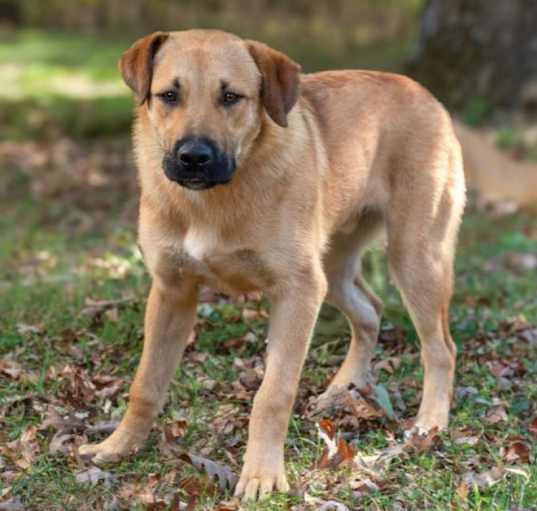 Photo of Max