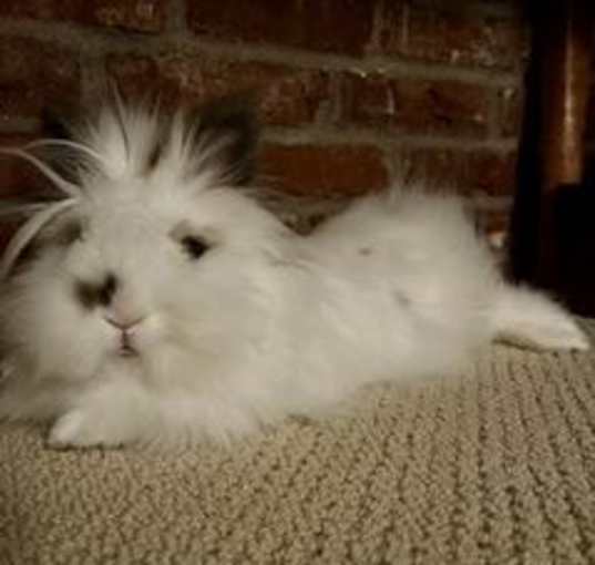 Photo of Janet