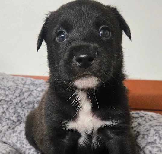 Photo of Marco (March)