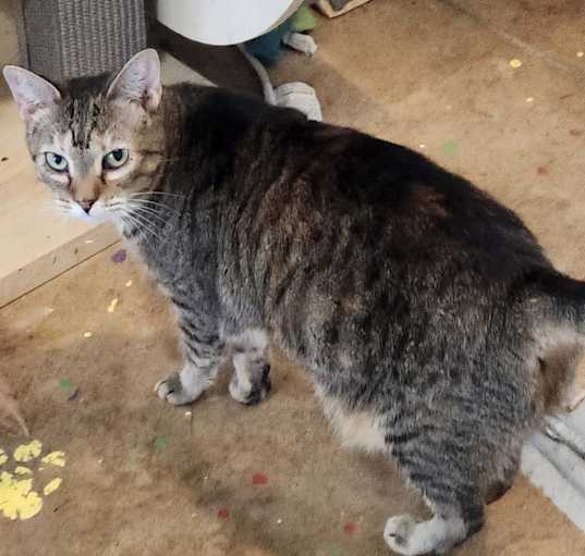 Photo of Lilly