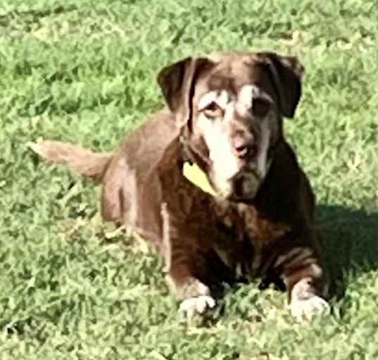 Photo of Mazzy