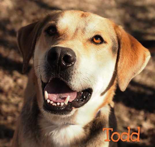 Photo of Todd T.