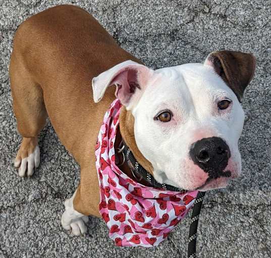 Photo of Milly Mae