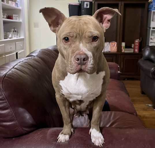 Photo of Sasha
