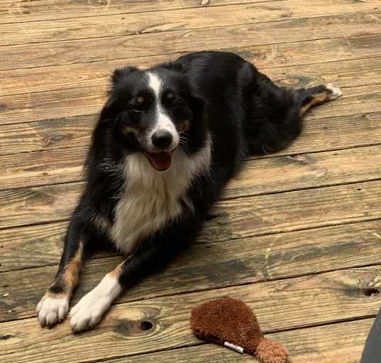 Photo of Sandy