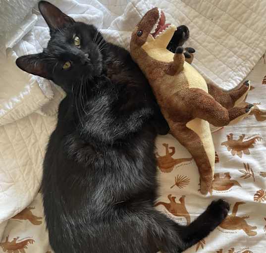 Photo of Greta