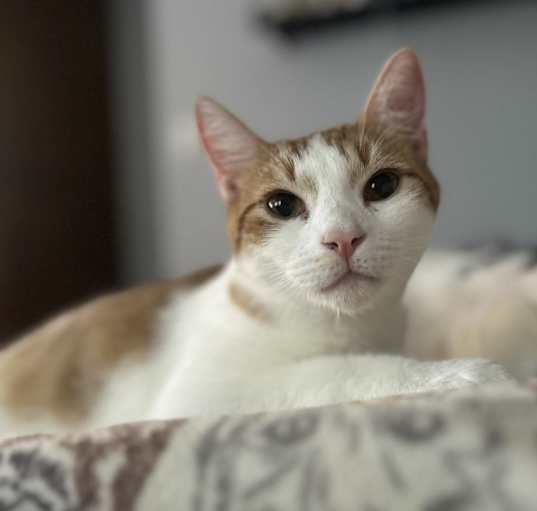 Photo of Olaf