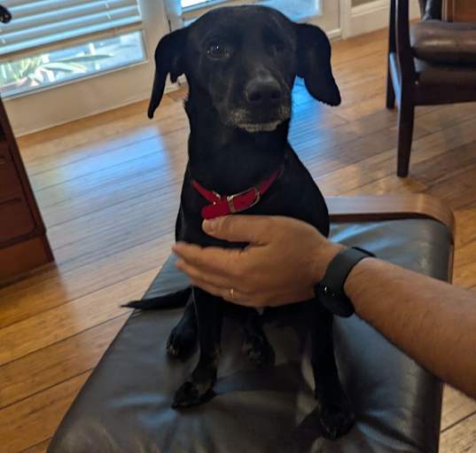 Photo of Winky 