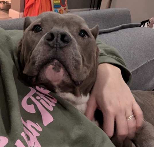 Photo of Tyson