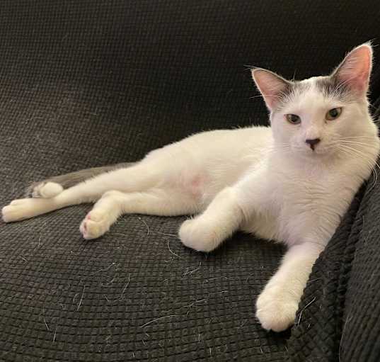 Photo of Frosty
