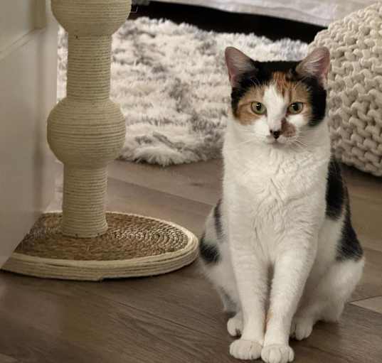 Photo of Delilah