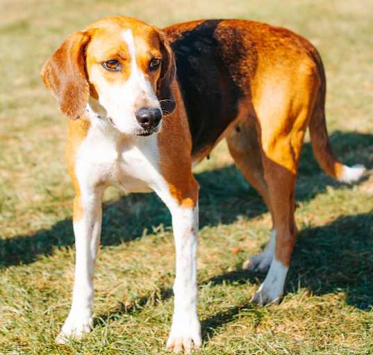 Photo of Lulabelle