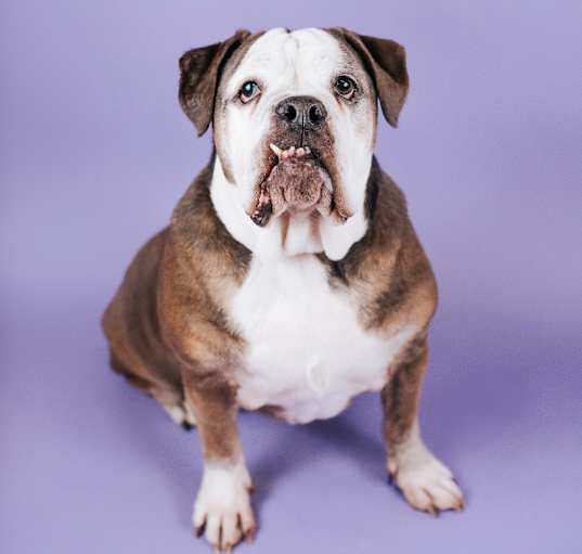Photo of Phyllis