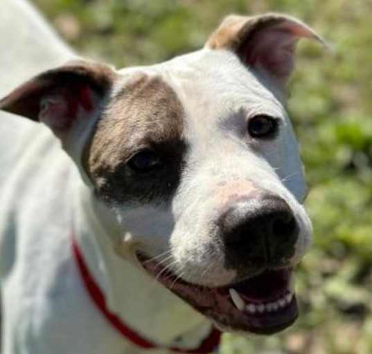 Photo of Rosie