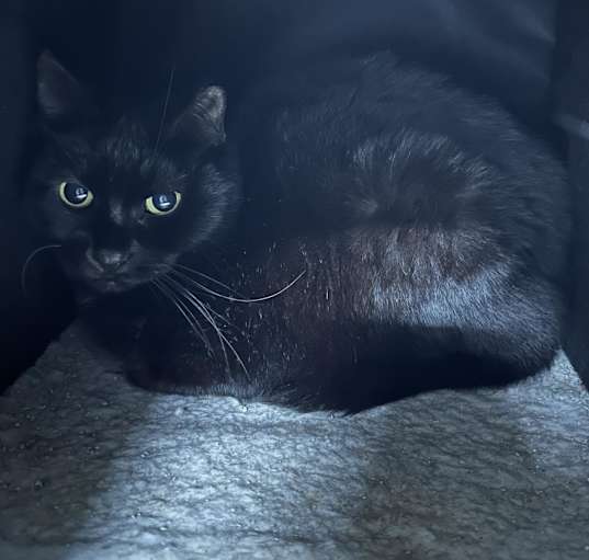 Photo of Skittle