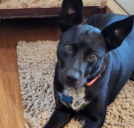 Photo of Mia